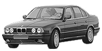 BMW E34 B1956 Fault Code